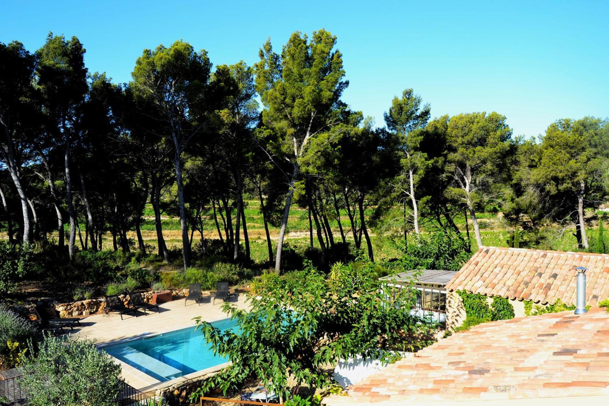 Les Pieds Tanques - D'hotes - Calanque A Pieds * Saint-Cyr-sur-Mer